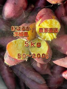 土付き　紅はるか　べにはるか　S・SSサイズ(50〜200g)　5kg さつまいも 茨城県産　5キロ　長期保管向け　追熟　熟成向き