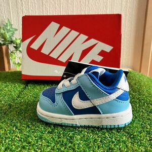 Nike TD Dunk Low Retro QS "Argon" 8cm