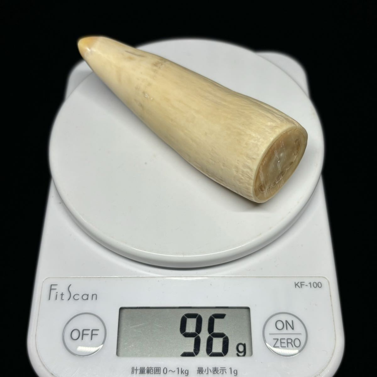 2023年最新】ヤフオク! -鯨 歯の中古品・新品・未使用品一覧