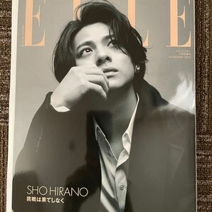 ELLE エル　ジャポン　11月号　増刊　平野紫耀　挑戦は果てしなく