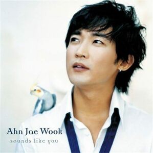 【中古】[90] CD Jae Wook Ahn アン・ジェウク Sounds like you (DVD付) 新品ケース交換 送料無料