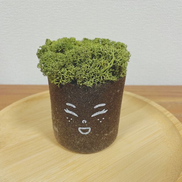 モス 置物 緑 観葉植物