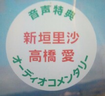 ☆新垣里沙DVD2枚「アロハロ! 新垣里沙DVD」&「あま夏メイキングDVDのみ」モーニング娘。モー娘。ハロプロ 高橋愛_画像6