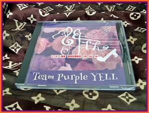開成学園　運動会　応援　CD Team　Purple YELL　第６４代紫組　エール　◆　非売品　進学校　中学　高校　