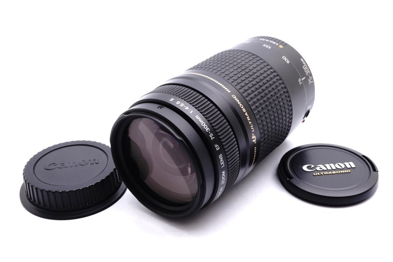 ヤフオク! -「canon ef 75-300mm f4-5.6 usm」の落札相場・落札価格