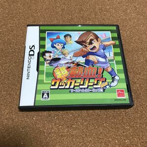 くにおくんの超熱血サッカーリーグ　DS