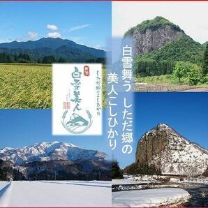 令和5年産 減農薬 新潟こしひかり白米10kg 新潟県三条市旧しただ村産 新潟県認証 特別栽培米100% 本物 グルテンフリー 送料無料の画像5