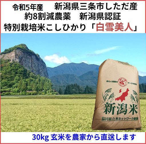 Риса, зерна, крупы с японского аукциона Yahoo — купить товары из
