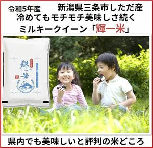 令和5年産　新潟県産ミルキークイーン白米5kg 新潟県三条市旧しただ村産　冷めても美味しい本物ミルキー　輝一米　おにぎりやお弁当に？