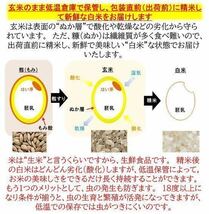 令和5年産　新潟県産ミルキークイーン白米5kg 新潟県三条市旧しただ村産　冷めても美味しい本物ミルキー　輝一米　おにぎりやお弁当に？_画像10