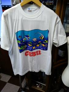 HSS２１半袖プリントTシャツ　RC　SEBU　？製　白系　綿　新古1枚