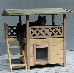  домашнее животное house собака house house натуральное дерево loft имеется дверь имеется много голова .. для помещений кошка кошка для . двор для 