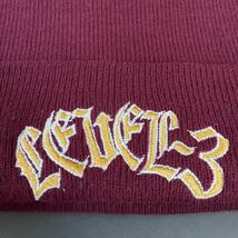 90s LEVEL3 ニット帽 thrasher zorlac venice dogtown syndicate_画像2