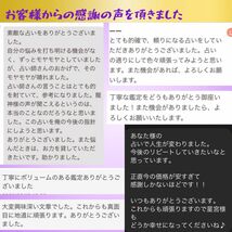 【30分】占い放題 じっくり占います　チャット鑑定 タロット霊視 占いチャット　ルノルマン　チャンネリング　恋愛　仕事　お金　不倫_画像7