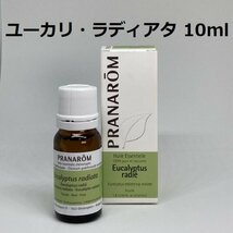 【即決】ユーカリ・ラディアタ 10ml プラナロム PRANAROM アロマ 精油　 ユーカリラディアタ　(S)_画像1