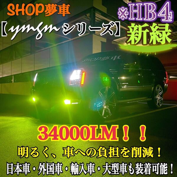 新発売!34000LM!フォグランプ LED 新緑 外車も対応 グリーン HB4 黄緑 アップルグリーンレモン