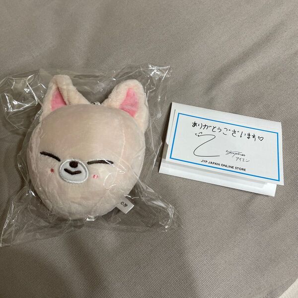 StrayKids スキズーFoxl.Ny アイエン