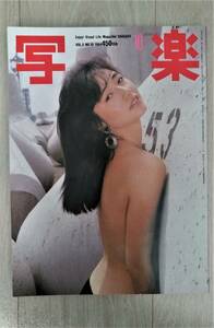 写楽　高樹沙耶　吉永小百合　少女隊　マイケル・ジャクソン　他　＜表紙：高樹沙耶＞　１９８４年１０月１日号