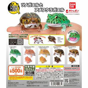 いきもの大図鑑レプティ ツノガエルとアメフクラガエル　全5種セット　未使用新品　送料込み