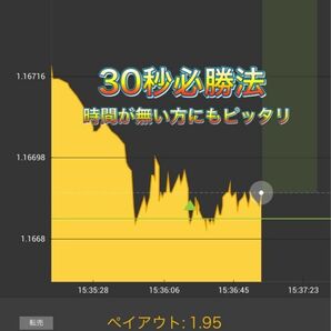 【限定モニター価格・残り2枠】バイナリー30秒Turbo手法　勝率80%以上