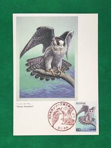 002755) 特殊鳥類 第5集 オーストンオオアカゲラ 全日本郵便切手普及協会　マシマムカード MC 初日 ポスクロ