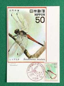 004511) 自然保護 シマアカネ トンボ 全日本郵便切手普及協会 マキシマムカード MC 初日 ポスクロ