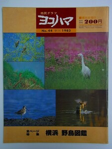 E37【 横浜情報 雑誌 】市民グラフ ヨコハマ　1983 No.44　全ページ特集：横浜 野鳥図鑑　カラーで見る横浜の野鳥11選　横浜野鳥地図