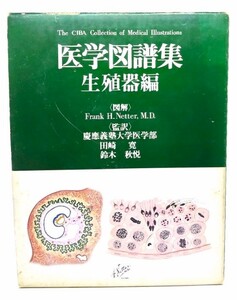 医学図譜集 生殖器編/田崎寛 ・鈴木秋悦(監訳)/日本チバガイギー