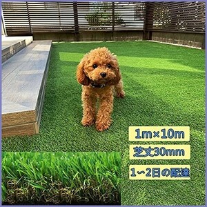 [ new goods free shipping ] artificial lawn artificial lawn raw [ artificial lawn 1m×10m lawn grass height 3cm] real artificial lawn roll density 1.9 times modern . equipment ornament artificial lawn 