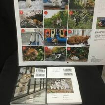 岩合光昭 写真集2冊＆2023年カレンダー　猫ネコ_画像2
