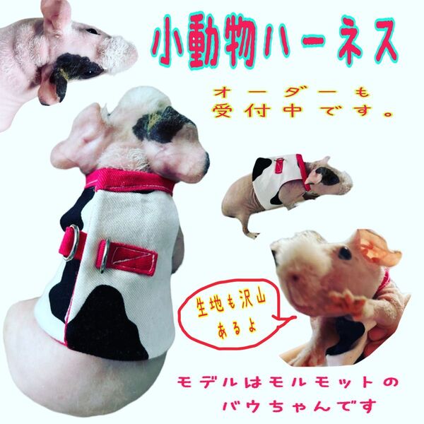 オーダー可★小動物ハーネス、マナーパンツ 小猿、モルモット、うさぎ、フェレット、ミーア…