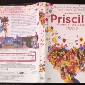 【2枚目200円off】 プリシラ DVD セル版