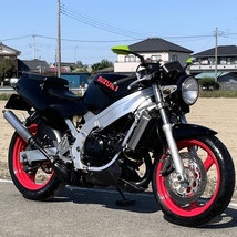 ウルフ250 実動 書類付き VJ21A ETC付き 絶版 旧車 2スト スズキ 検）RG RGV SDR TZR RZR RZ R1Z NS NSR KR CB GT TDR FZR ウルフ ガンマ_画像1