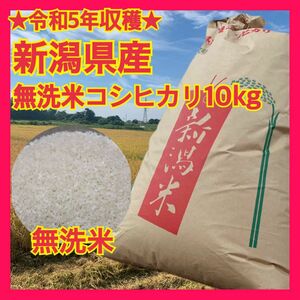 ★送料無料★新潟県産新米コシヒカリ（無洗米10kg）