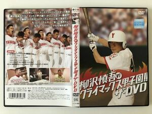 B20804　R中古DVD　柳沢慎吾のクライマックス甲子園!!ザ・DVD　