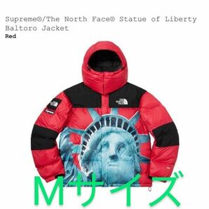 Supreme 19aw The North Face Statue of Liberty Baltro Jacket バルトロ
