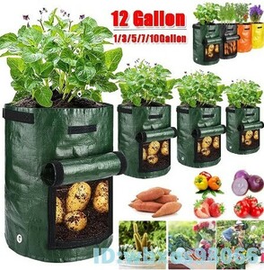 Ay1109: vegetable cultivation for sack planter plant pot Sunday large . cloth made garden tool gardening garden field work thing gardening plant seedling fruit observation child research 