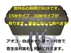 池対応　 殺菌灯BOX ワイドセット 殺菌灯15W モーター アオコ白点キャッチャー付き　5