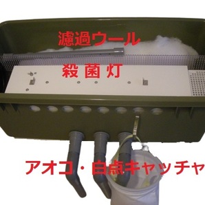 池対応  殺菌灯BOX ワイド モーター アオコ白点キャッチャー付き 28の画像3