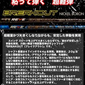 REVE BREAK OUT Nickel Boronの画像2