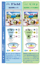 当商品はシティタイプです。