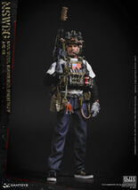 DAMTOYS 1/6スケール NSWDG DEVGRU アメリカ海軍特殊部隊 デブグル AOR2 Ver エリートシリーズ DAM78072 アクションフィギュア フルセット_画像1