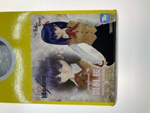 【IWA・開封品】ドール　間桐桜 「Fate/hollow ataraxia」 DD / ドルフィードリーム 051-231031-NS-01-IWA_画像7