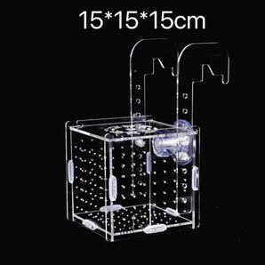 【送料無料】水槽 水族 組立式 繁殖箱 隔離ボックス 隔離ケース 産卵箱 15*15*15cmの画像1