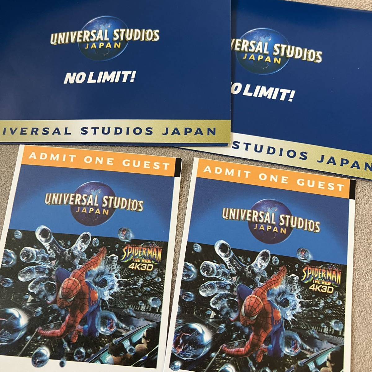 USJ ユニバーサルスタジオジャパン フリーデイト・パス 大人2枚 期間