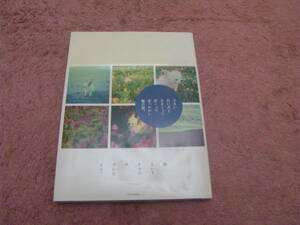海というナマエのついたイヌ。小山奈々子　母が白い小さい犬を連れてきた。愛らしい犬の写真とともに贈る詩集。