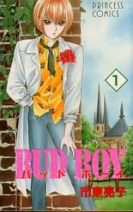 BUD BOY 全 19 巻 完結 セット レンタル落ち 全巻セット 中古 コミック Comic