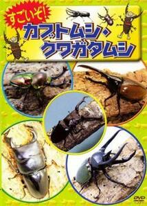 すごいぞ!カブトムシ・クワガタムシ レンタル落ち 中古 DVD