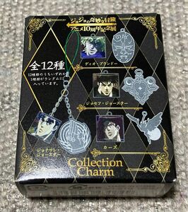 【未開封】ジョジョの奇妙な冒険アニメ10周年記念展コレクションチャーム