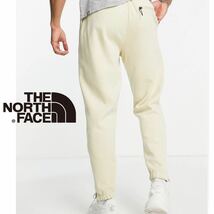 THE NORTH FACE ザノースフェイス メンズ ジョガーパンツ スウェットパンツ ジャージ トラックパンツ 海外限定 正規品 L 未発売_画像3